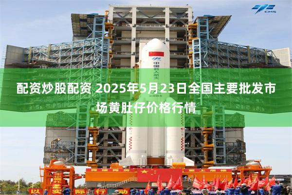 配资炒股配资 2025年5月23日全国主要批发市场黄肚仔价格行情